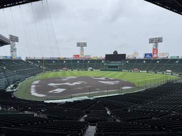 阪神－西武は中止 台風6号接近、甲子園は午前から雨 阪神・西勇、西武・平良が先発予定も