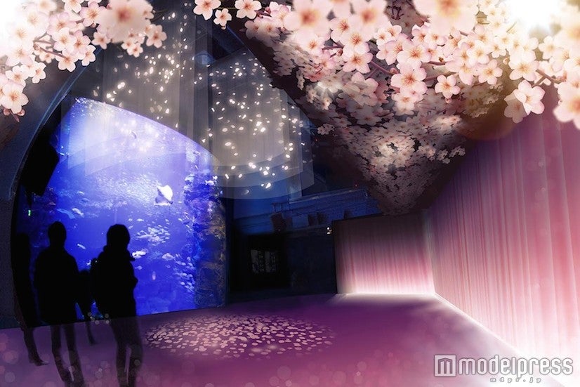 「春を楽しむインタラクティブアート『桜といわし』」／画像提供：ワン・トゥー・テン・ホールディングス
