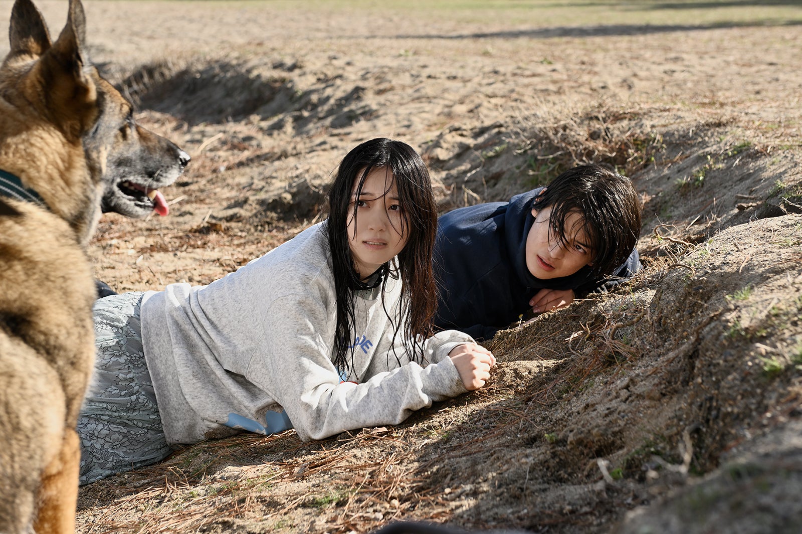 （C）2025映画「少年と犬」製作委員会