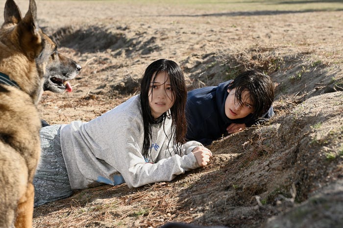 (C)2025映画「少年と犬」製作委員会