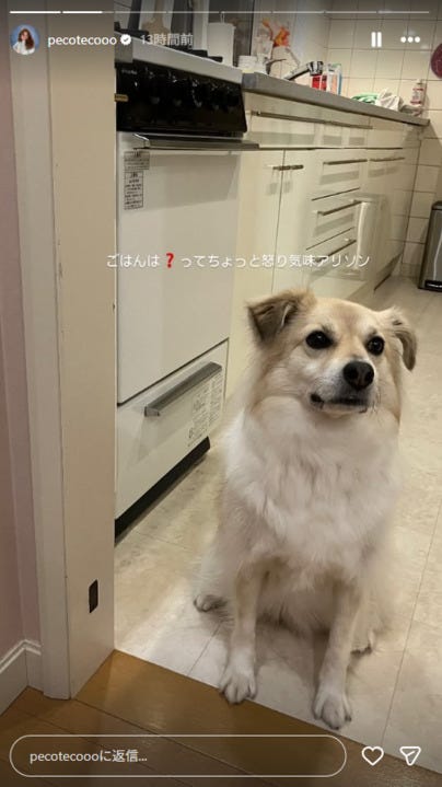 peco Instagramストーリーズより