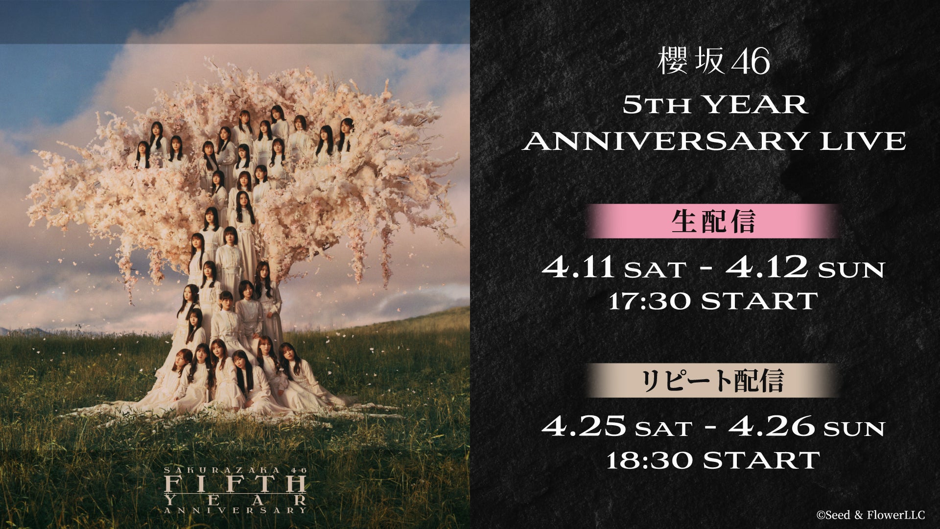櫻坂46、国立競技場で開催「5th YEAR ANNIVERSARY LIVE」Leminoで生配信決定