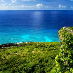 ロタ島東部の手つかずの野鳥の生息地、バードサンクチュアリ(C)Junji Takasago/MVA