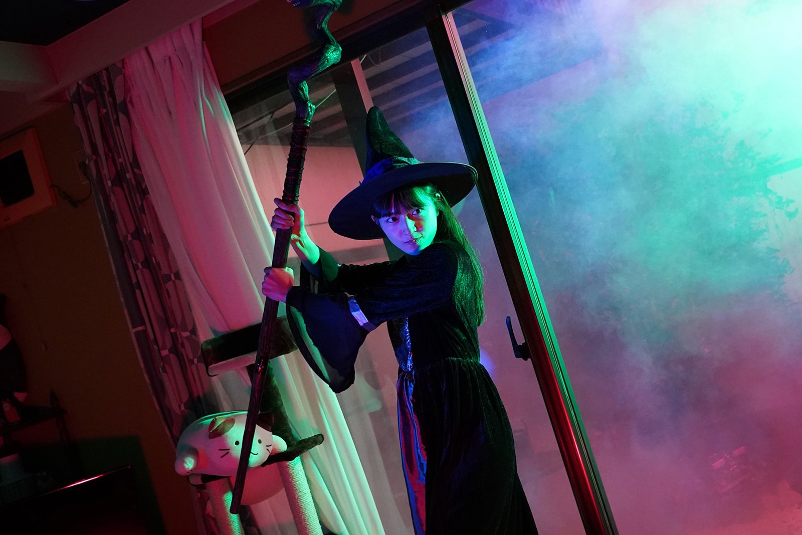 川口春奈／『「極主夫道」爆笑！カチコミSP』より（C）おおのこうすけ／新潮社・ytv