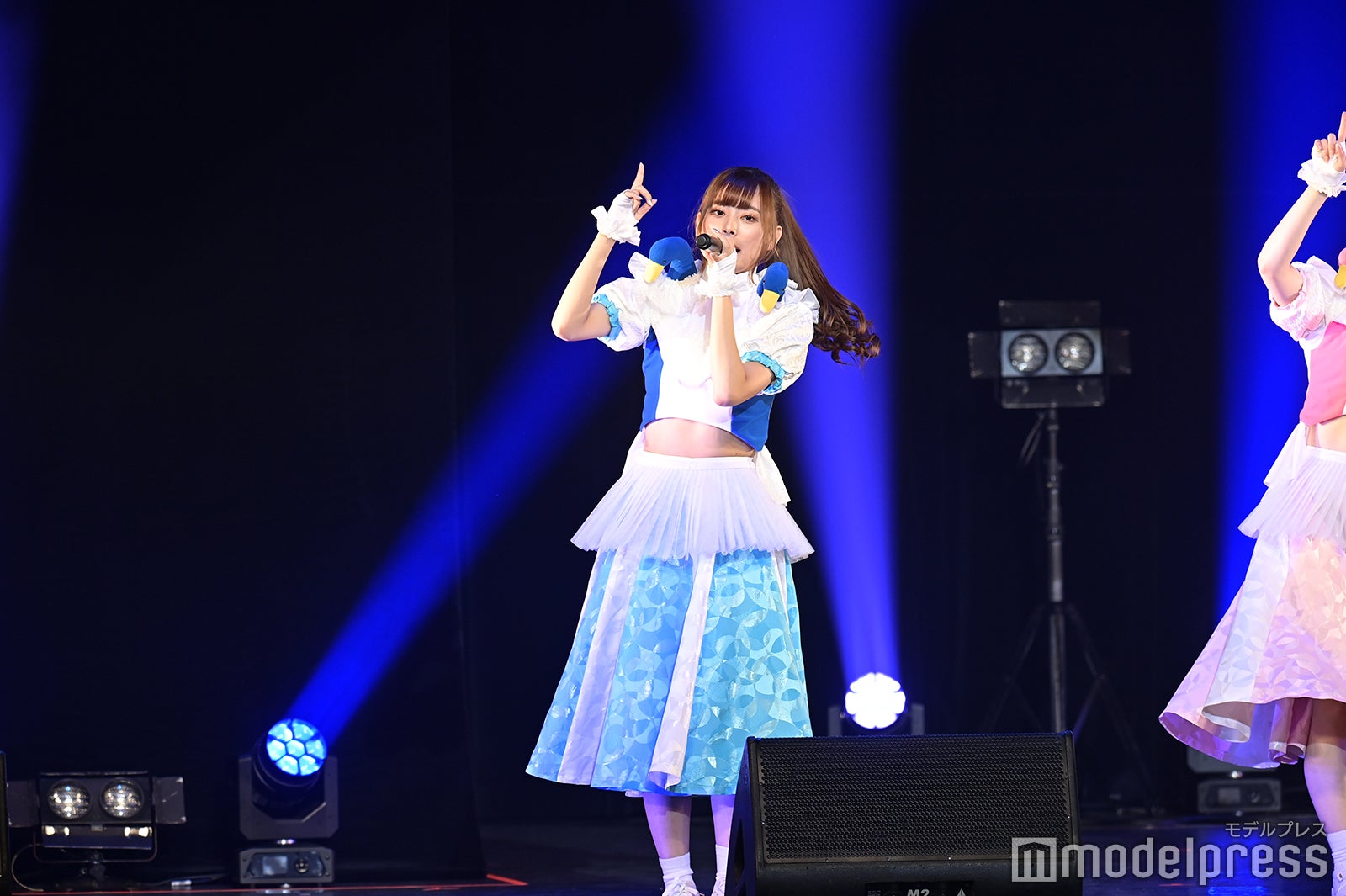 豆柴の大群（C）モデルプレス