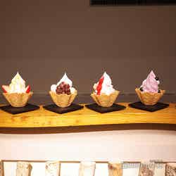 星野リゾート トマム(C)モデルプレス