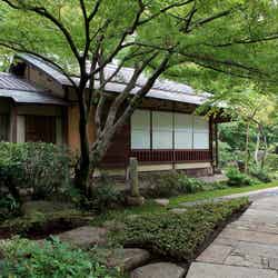 庭園内の茶室「弘仁亭」/提供画像