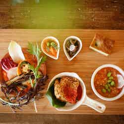 「朝採れ野菜たっぷりラザニアプレート」 ¥1,390/画像提供:Sfida Fabbrica