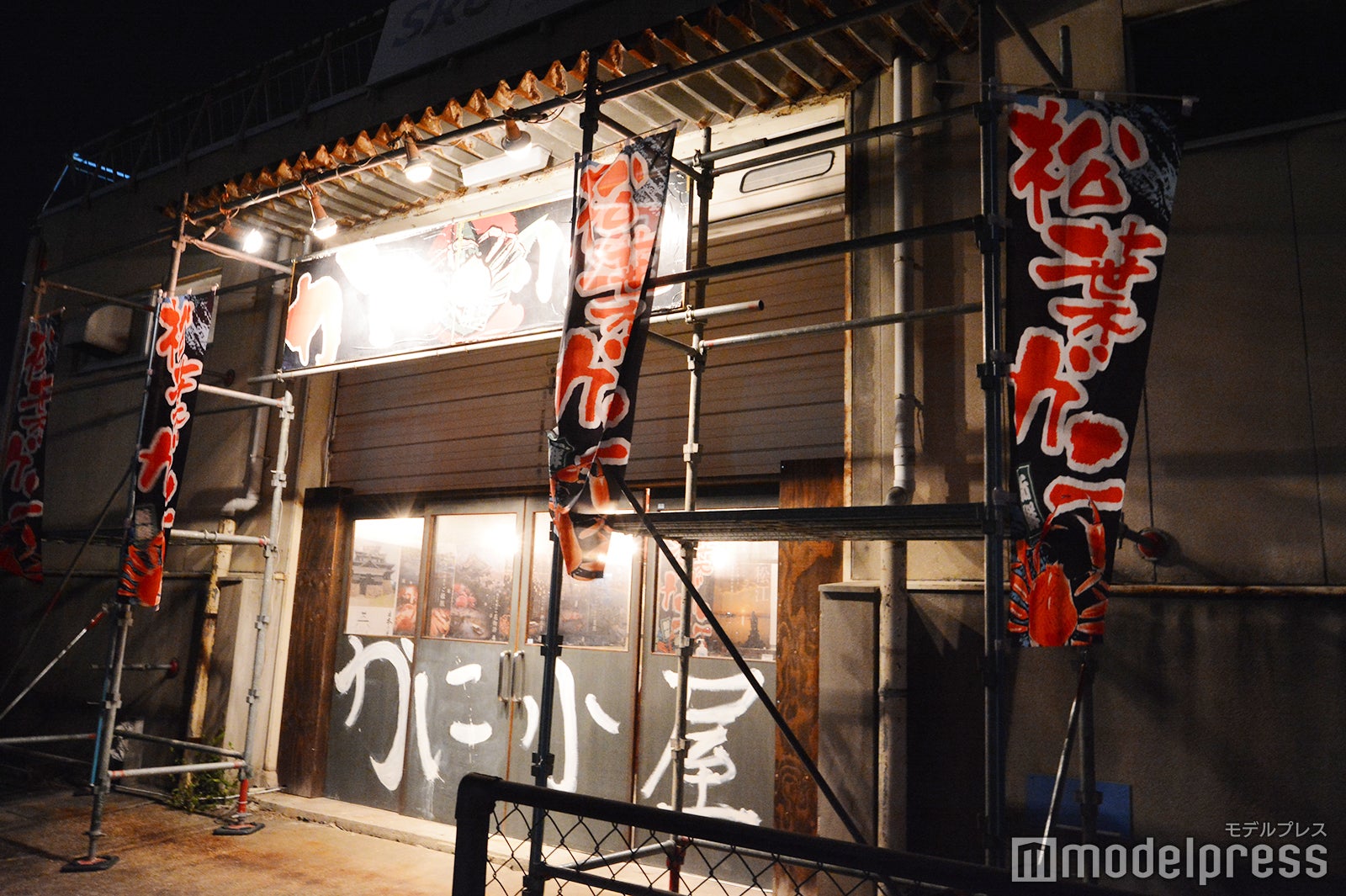 （C）モデルプレス