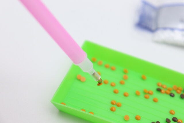 ビーズアートキット絵画(ライオン/建物) ペン先にビーズをつける ビーズアートキット絵画(ライオン/建物) ペン先にビーズをつける