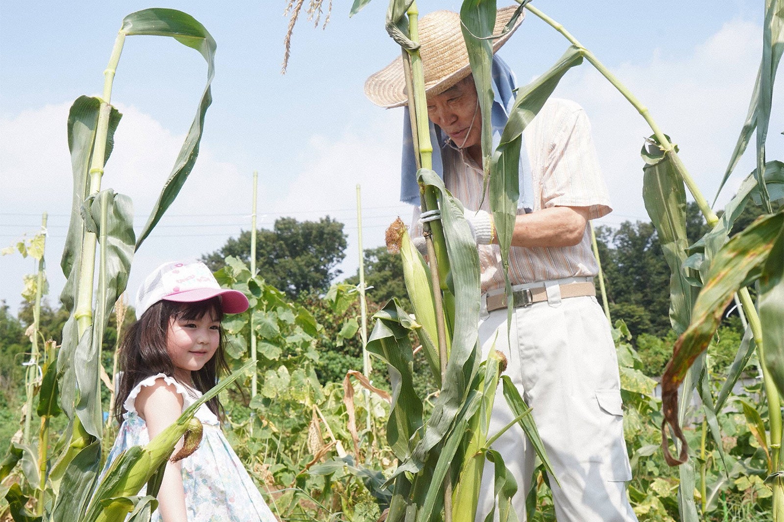 加藤柚凪、柄本明「監察医 朝顔」第5話より（C）フジテレビ