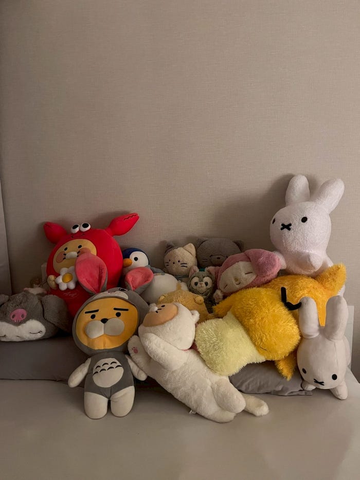 私物のぬいぐるみたち(提供画像)