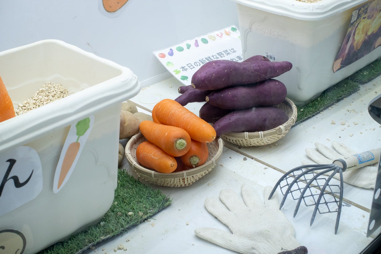 7日放送の「カワイイジャパンダ」より（写真提供：MBS）