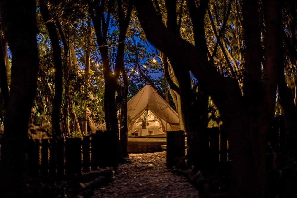 スモールプラネットキャンプ＆グリル（提供画像）