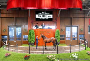 【セレクトセール2026】初日初の3億円超えは（株）ダノックスが落札 過去にもダービー馬ダノンデサイルなど数々のG1馬をセレクトセールで購入 キタサンブラック産駒のプリティゴージャス25