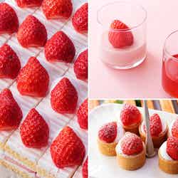 いちごスイーツ/提供画像