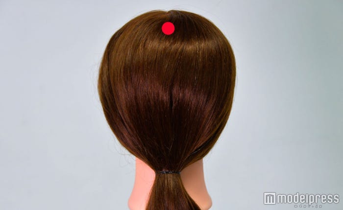 頭の上の部分(C)モデルプレス