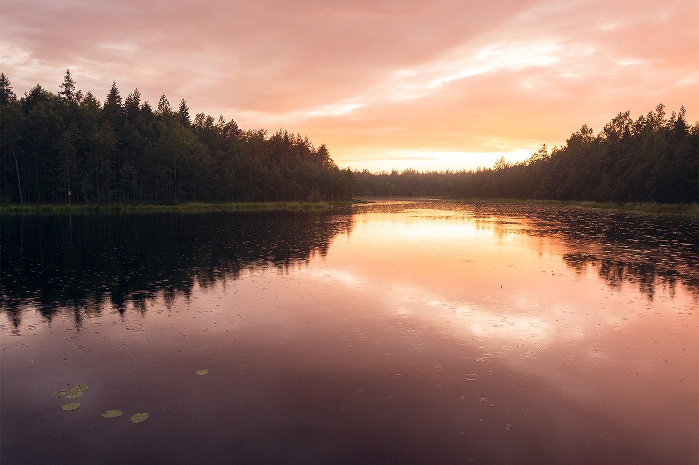 ヌークシオの朝焼けの湖／画像提供：Visit Finland（フィンランド政府観光局）