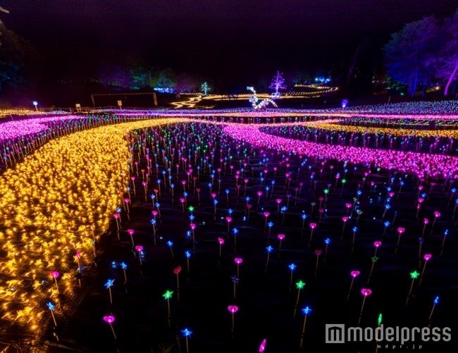 幻想庭園／画像提供：アパホテルズ＆リゾーツ