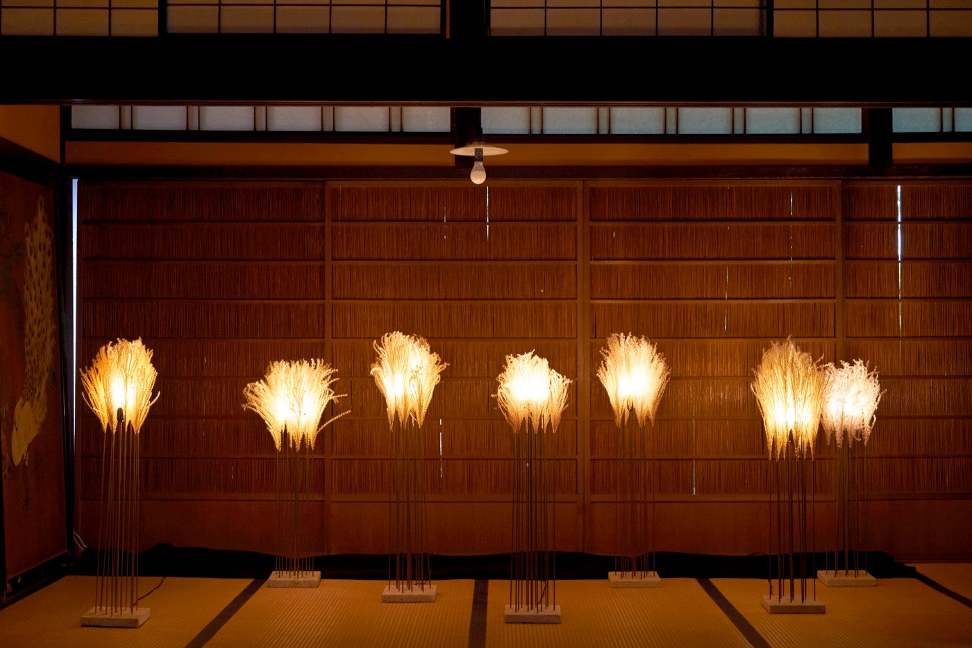 草木の明かり 川村 忠晴（東京都）／提供画像