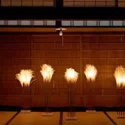 草木の明かり 川村 忠晴(東京都)/提供画像