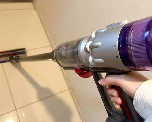 『DayDay』玄関に掃除機かけるの抵抗が… 「捨てるはずのゴミ」でまさかの解決