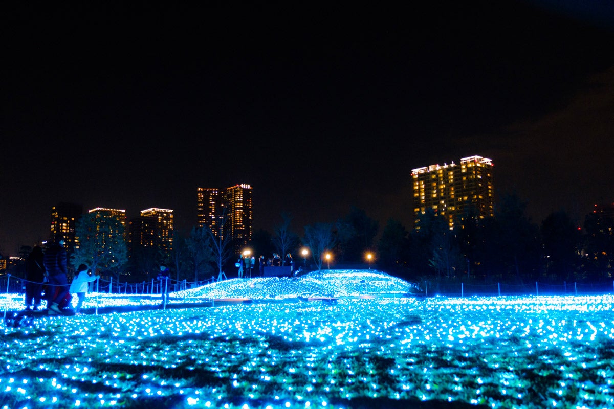 品川シーズンテラス イルミネーション／画像提供：株式会社クオル