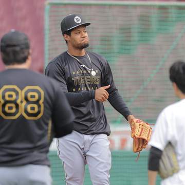 阪神助っ人・モレッタが1軍広島遠征に合流 ファームで4戦連続無失点