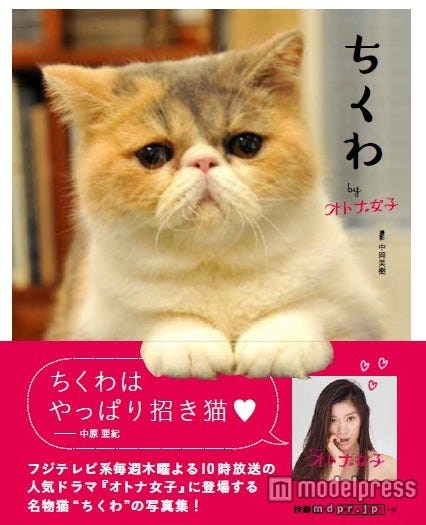 写真集『ちくわ』(扶桑社、2015年11月26日発売)/(C)フジテレビ