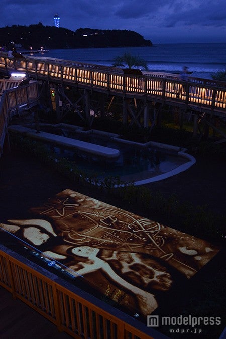 「ウミガメの夢」／画像提供：新江ノ島水族館