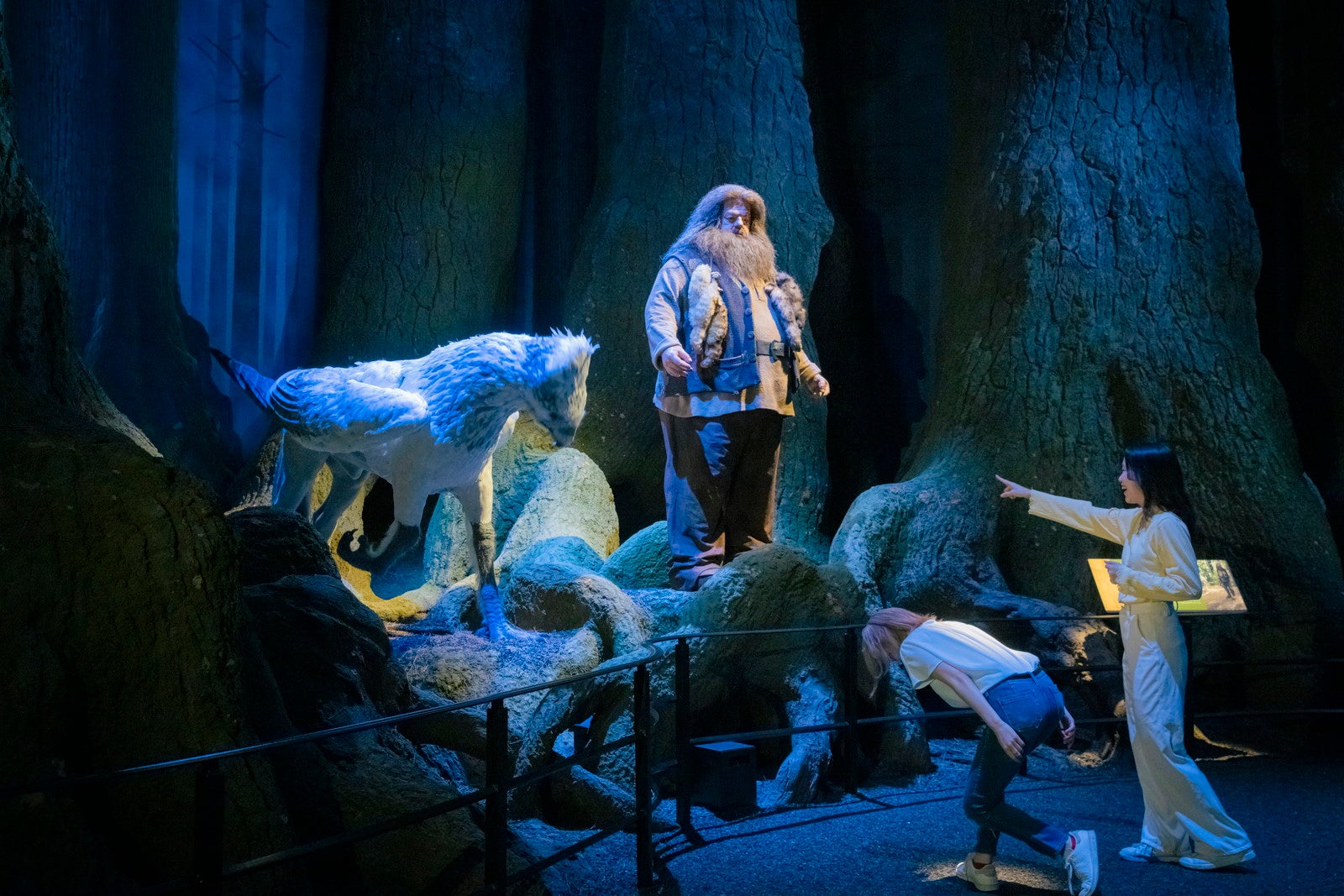 禁じられた森／提供画像