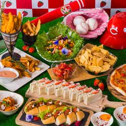 ストロベリー・カープ・ロード 勝鯉への道/提供素材