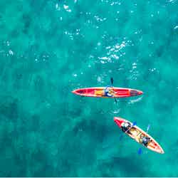 シーカヤックに乗って水上散歩、バイロン・ベイの海を堪能(C)Destination NSW