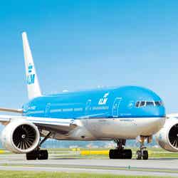 青空に映えるスカイブルーの機体のKLMオランダ航空
