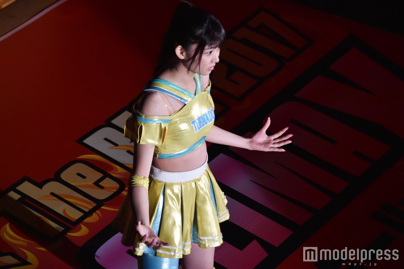 豆腐プロレス The REAL 2017 WIP CLIMAX（C）モデルプレス