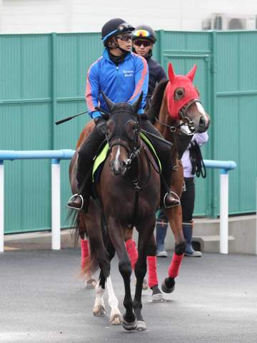 【新馬戦】ルギッドドランジュ 初戦から力出せるタイプ 吉田助手「おおらかで大人っぽい」今年3月開業の新厩舎！新馬戦初勝利なるか