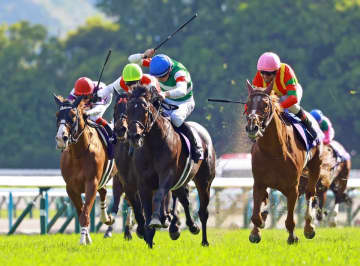 天皇賞・春V以来休養中のヘデントールが京都記念に出走を予定 ドバイシーマCに登録