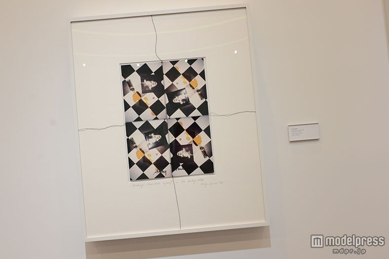 アンディ・ウォーホルの作品