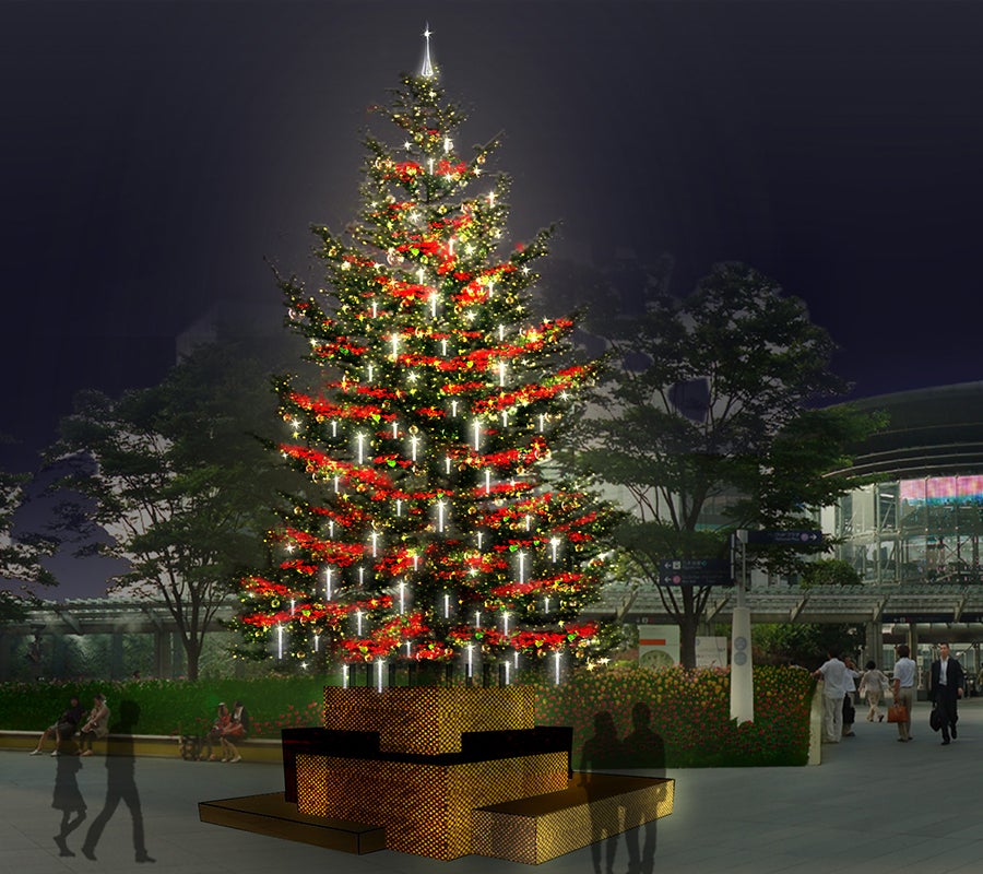 もみの木のクリスマスツリー