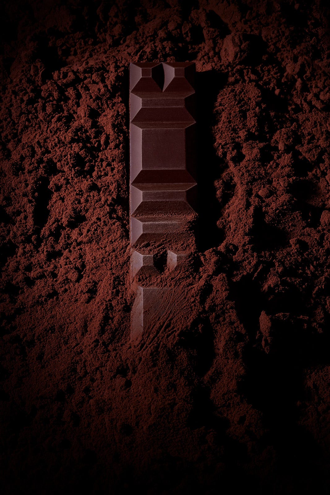 パリのチョコレート専門店「ル・ショコラ・アラン・デュカス」日本初上陸 世界初のイートイン併設