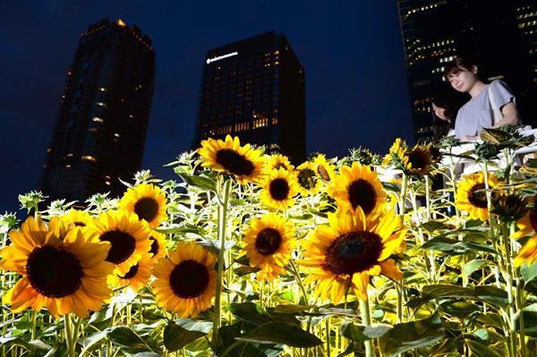 うめきたガーデン／画像提供：産経新聞社