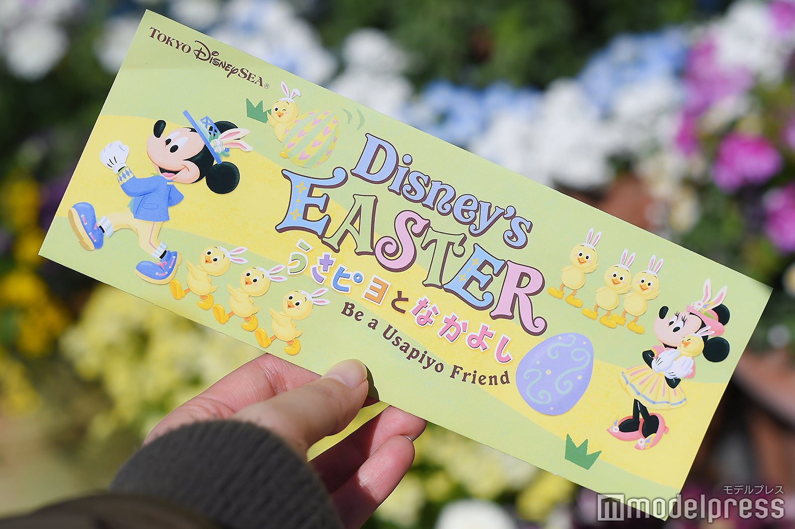 「“ディズニー・イースター”うさピヨとなかよし」（C）モデルプレス（C）Disney