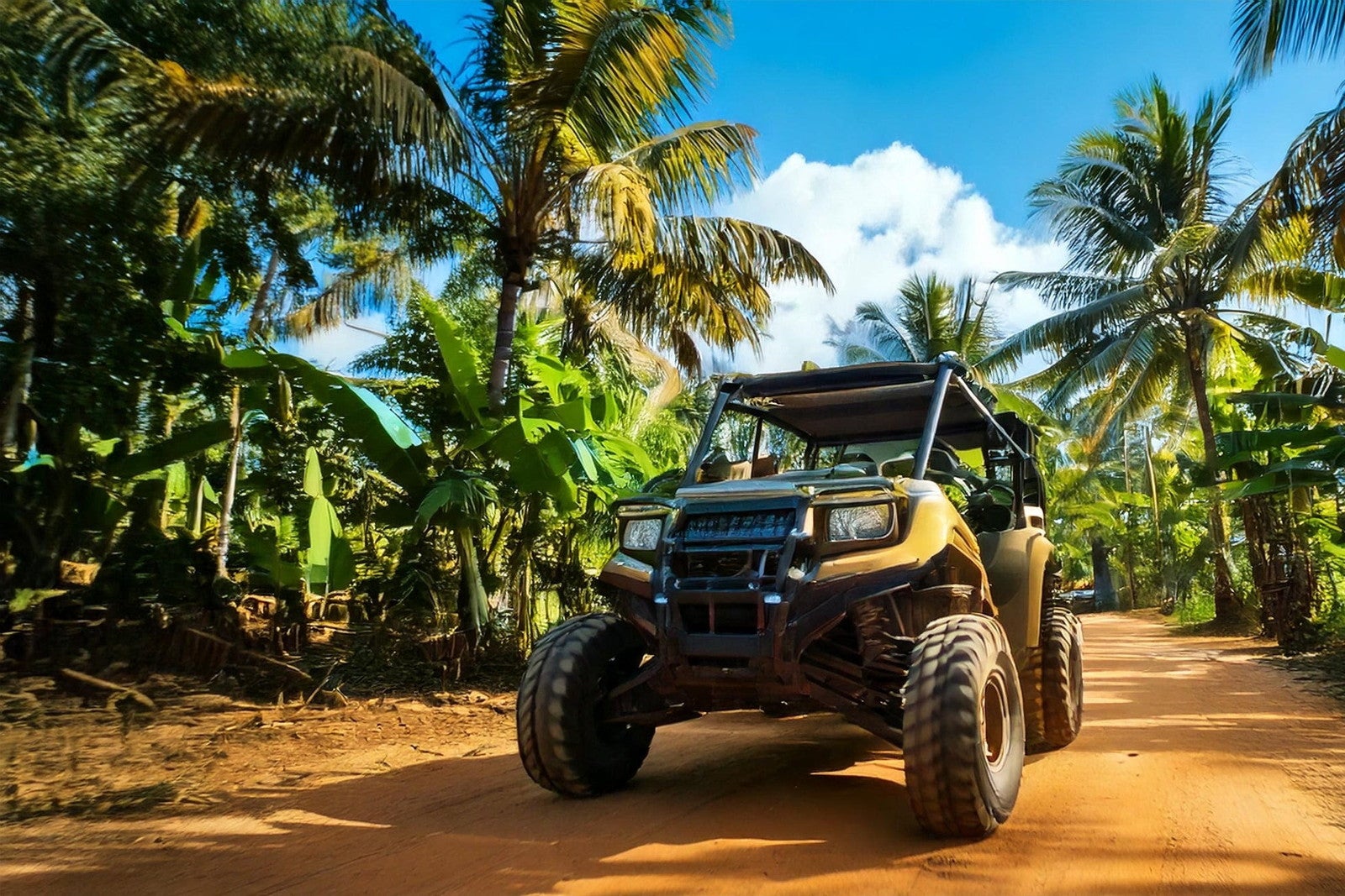 ジャングリア沖縄／提供画像