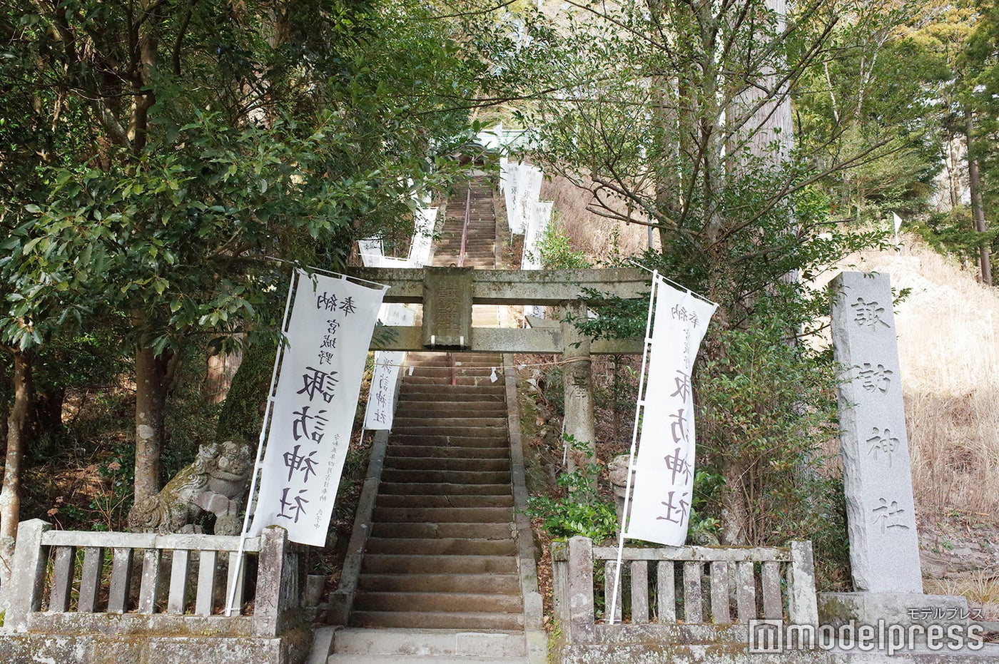 諏訪神社へはホテルから徒歩15分ほど（C）モデルプレス