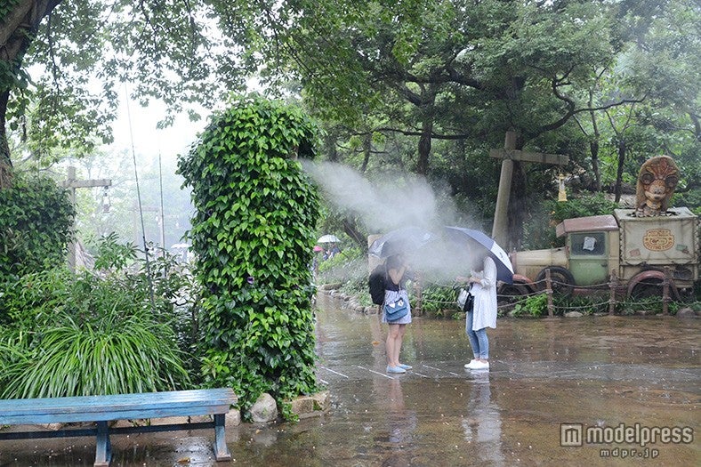 クールスポット