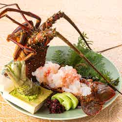 飛鳥III/提供画像