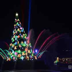 カラー・オブ・クリスマス／ハーバーに登場する高さ約15メートルのクリスマスツリー／東京ディズニーシー