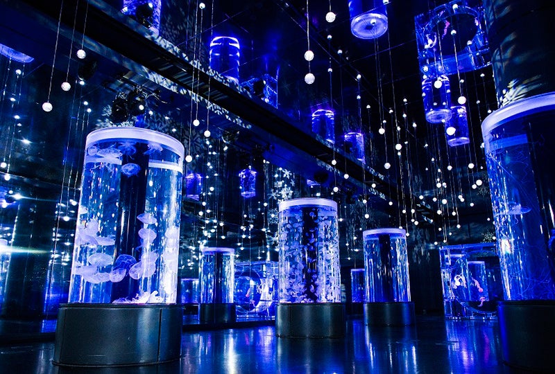 NAKED SNOW AQUARIUM／画像提供：横浜八景島