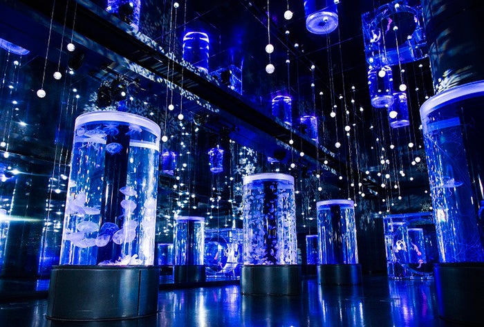 NAKED SNOW AQUARIUM／画像提供：横浜八景島