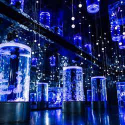 NAKED SNOW AQUARIUM/画像提供:横浜八景島